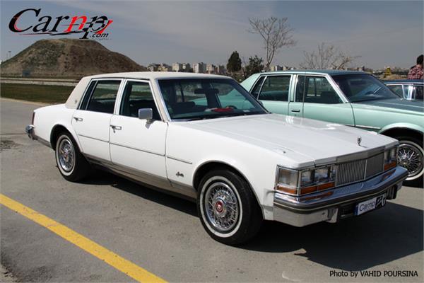 کلوپ های CARNP 5