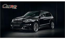 Hamann  iran  7