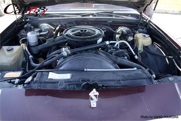 کلوپ های CARNP 2