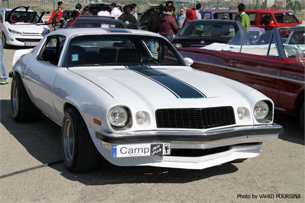 کلوپ های CARNP 6