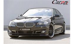 hamann 2