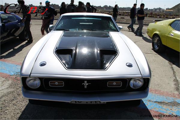 کلوپ های CARNP 12