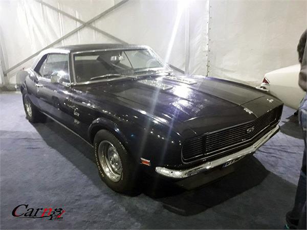 نمایشگاه  پارک ارم فروردین 98 20