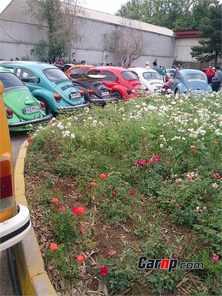 iran vw club  carnp.com 14