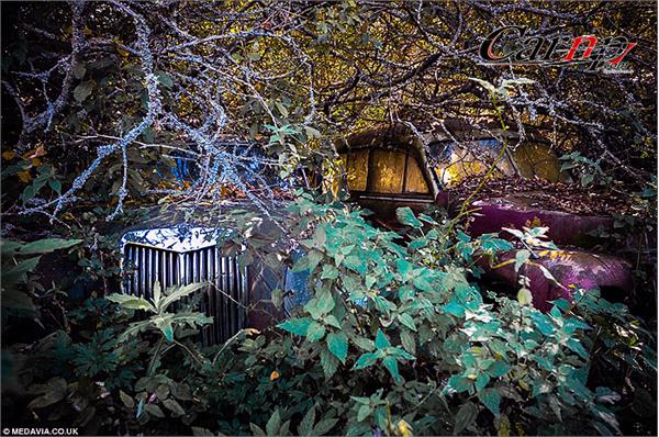 1000 classic car  10