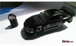 car maket in iran 14