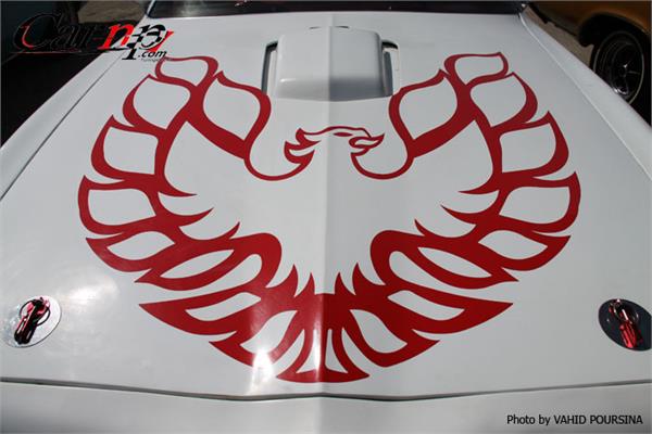 کلوپ های CARNP 3