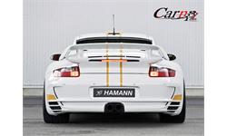 hamann 1