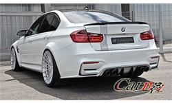 Hamann  iran  20