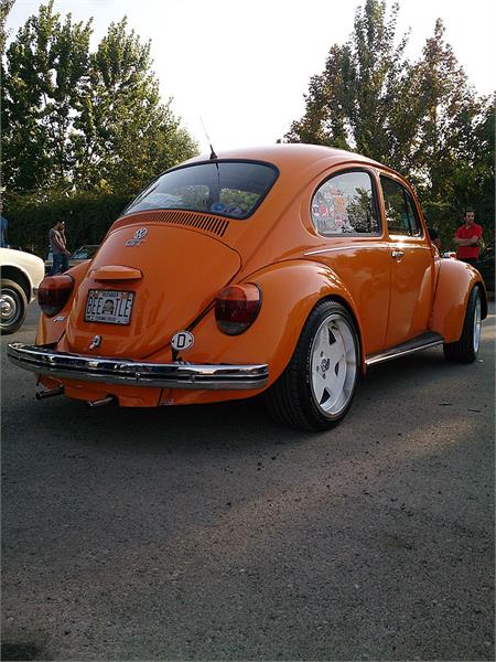 گردهمائی انواع خودرو  بوستان ولایت  40