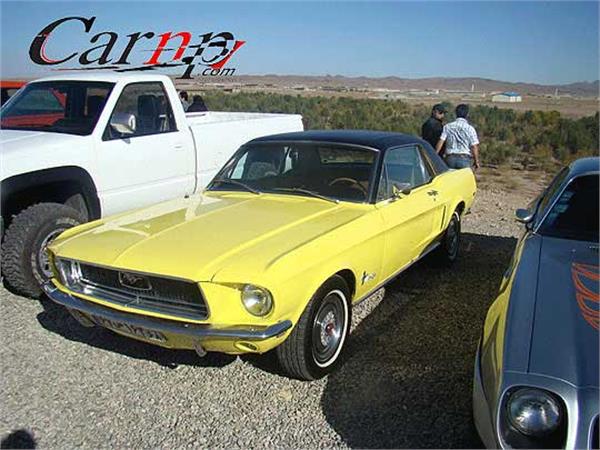 american car club   2