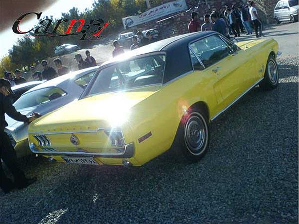 american car club   16