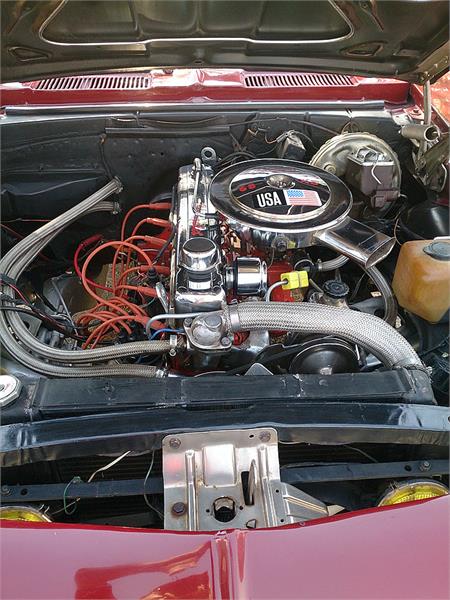 گردهمائی انواع خودرو  بوستان ولایت  15