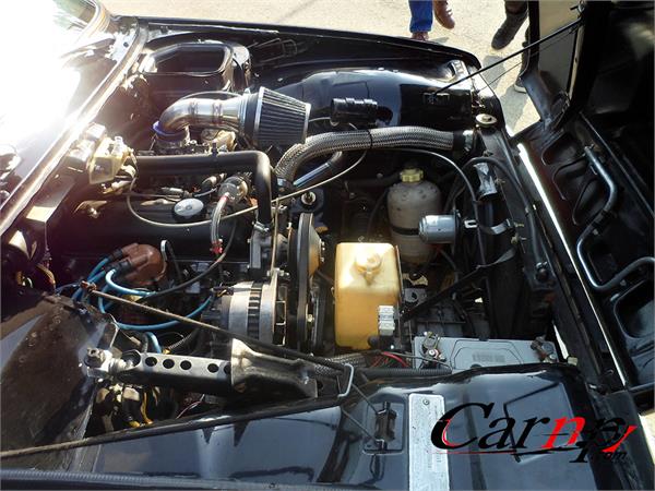 گردهمایی خودروهای فرانسوی 1397 تیر کارتینگ آزادی  42