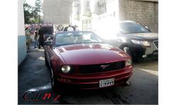 ford mustang   فورد موستانگ  و مک وان  19