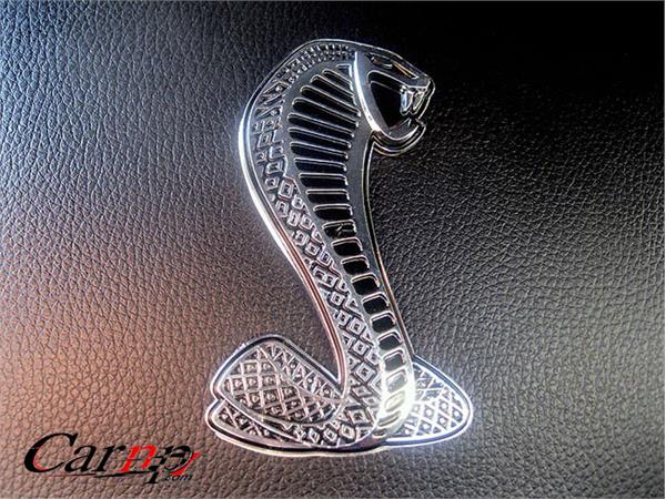 ford mustang   فورد موستانگ  و مک وان  12