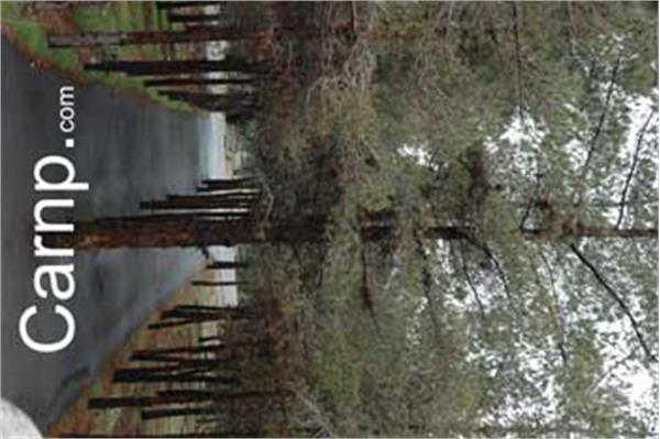 race for sell 11/12/85 2