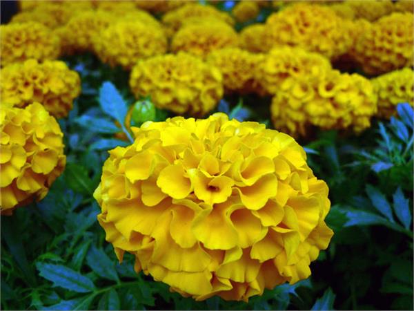 تصاویری از طبیعت  5