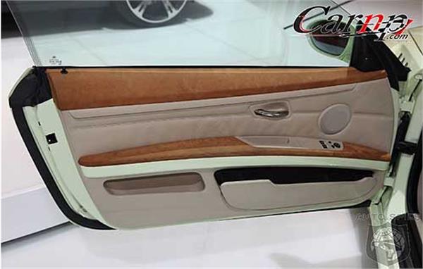 auto-show-photos   shanghai 13