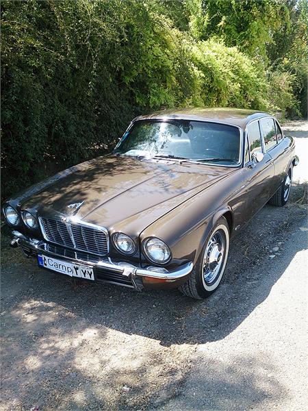 گردهمائی انواع خودرو  بوستان ولایت  1