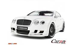 hamann 14