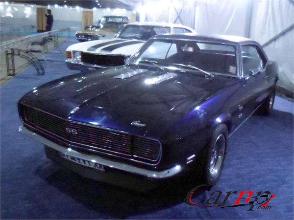 نمایشگاه پارک ارم  12