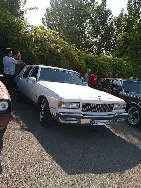 گردهمائی انواع خودرو  بوستان ولایت  18