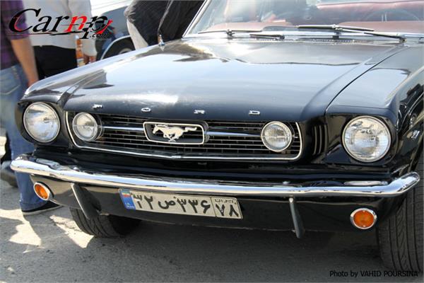 کلوپ های CARNP 9