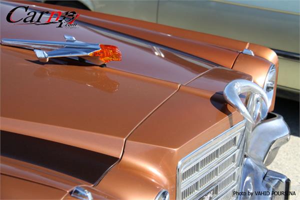 کلوپ های CARNP 7