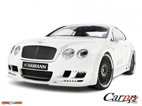 hamann 14