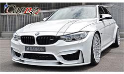 Hamann  iran  22