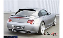 hamann 5