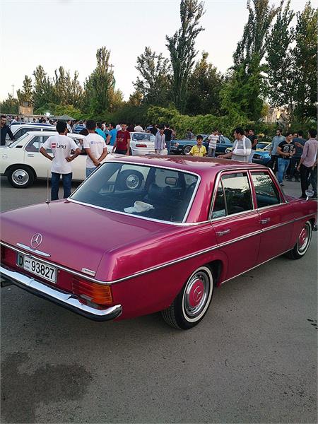 گردهمائی انواع خودرو  بوستان ولایت  15