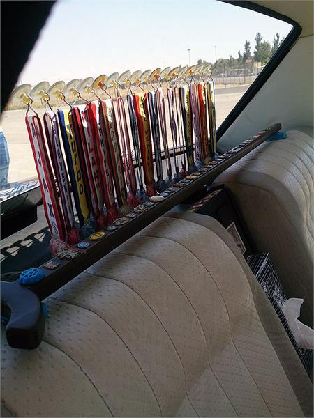 گردهمائی انواع خودرو  بوستان ولایت  4