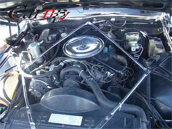 american car club   11