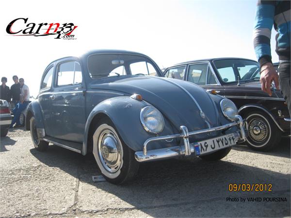 کلوپ های CARNP 9