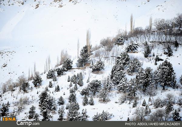 جاده چالوس  33