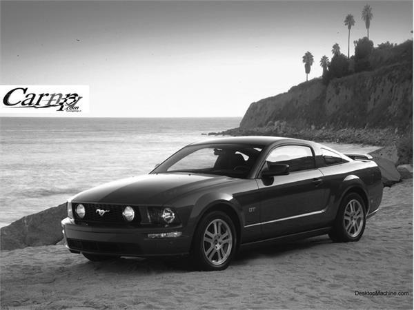 mustang 1