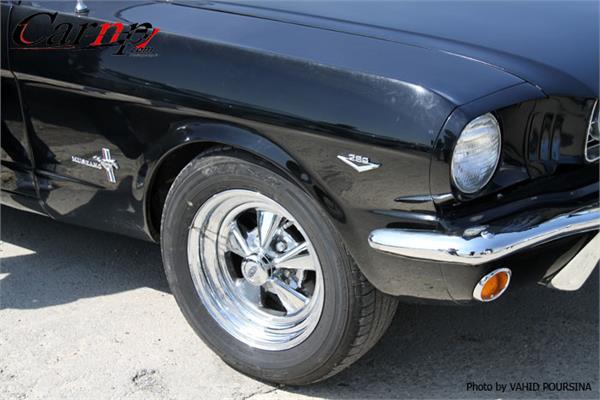 کلوپ های CARNP 2