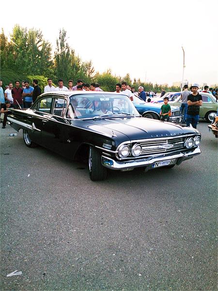 گردهمائی انواع خودرو  بوستان ولایت  18