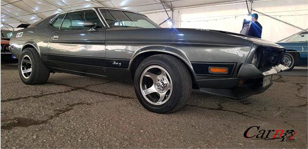 نمایشگاه  پارک ارم فروردین 98 77