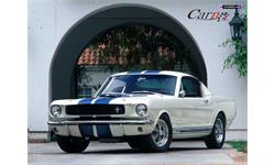 mustang 3