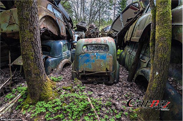 1000 classic car  11