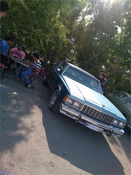 گردهمائی انواع خودرو  بوستان ولایت  20