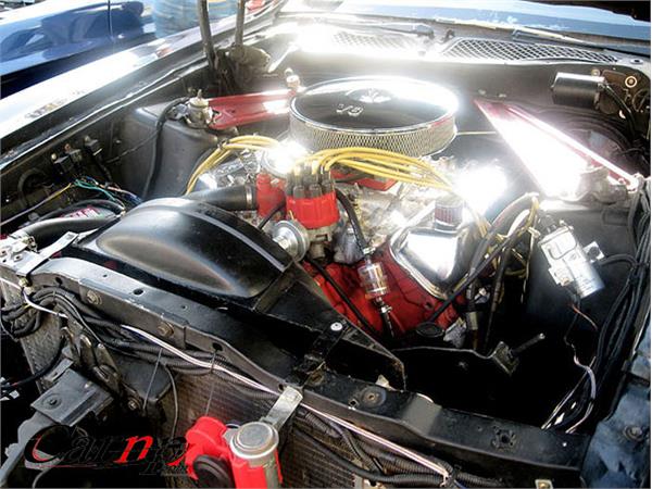 ford mustang   فورد موستانگ  و مک وان  6