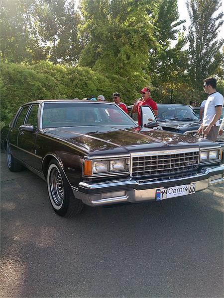 گردهمائی انواع خودرو  بوستان ولایت  19