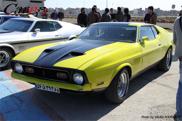 کلوپ های CARNP 10