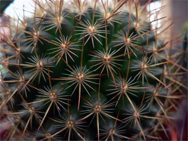 تصاویری از طبیعت  15