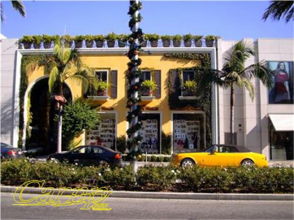 بیژن پاکزاد طراح - طرح اتومبیل  19