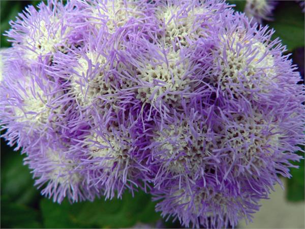 تصاویری از طبیعت  16